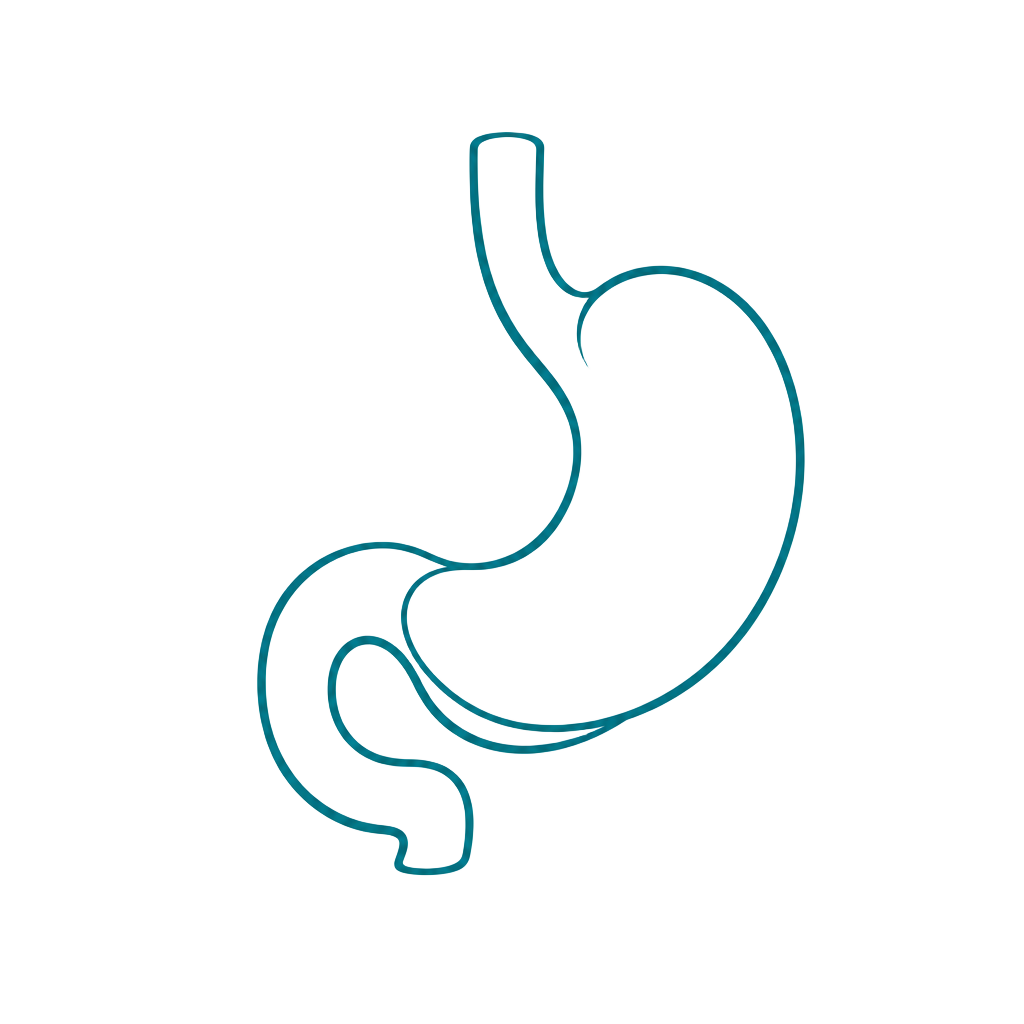 Stomach icon